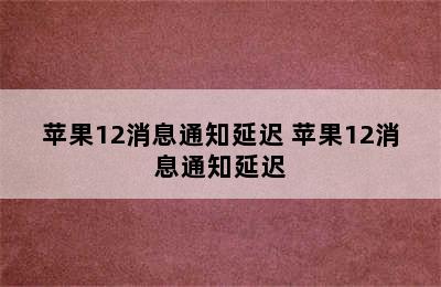 苹果12消息通知延迟 苹果12消息通知延迟